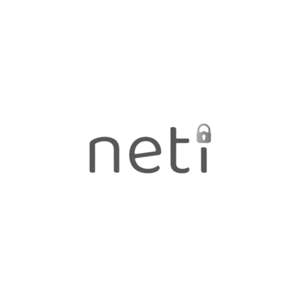 Net IT Consulting logó